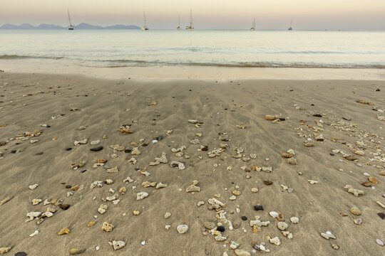 Sunrise on the shell-lined Charlie Beach, Koh Mook Island, Andaman Sea, Thailand, Southeast Asia
