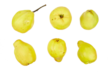 yellow quince fruits set isolated on white or transparent png