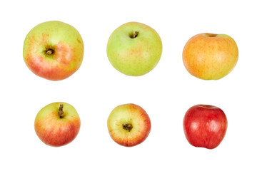 set of red and green apples isolated on white or transparent png