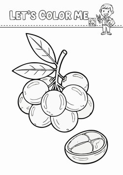 Drawing a single page about duku