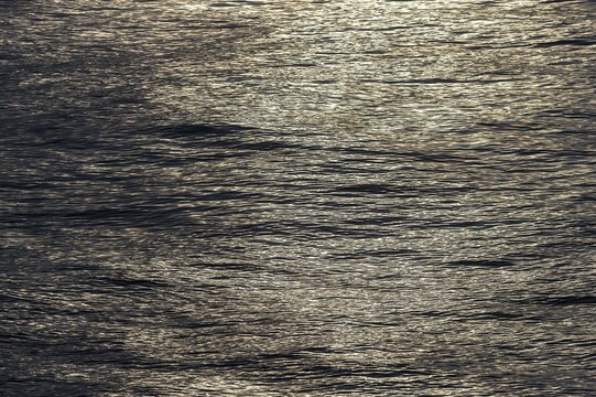 Sea surface, Barents Sea, Spitsbergen, Svalbard and Jan Mayen, Norway