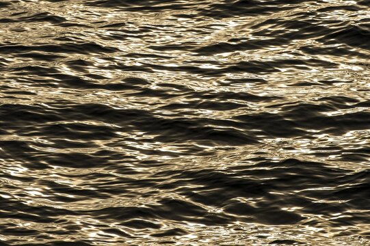Small waves, sea surface, Barents Sea, Spitsbergen, Svalbard and Jan Mayen, Norway