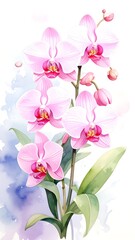 Delicate pink orchids in watercolor style