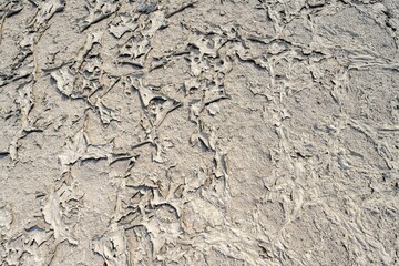 Soil, structure of a dried up salt pan, Nxai Pan National Park, Botswana