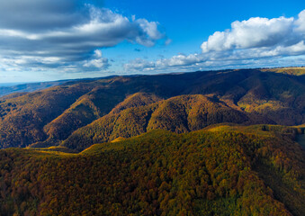 Fototapeta premium Aerial view with yellowed forests on mountains and valleys in autumn. Fall forested mountains seen from above