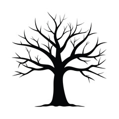 Fototapeta premium tree with roots