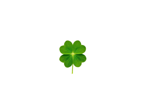 Four-leaf green clover for St. Patrick's Day in the center isolated on transparent or white background, png