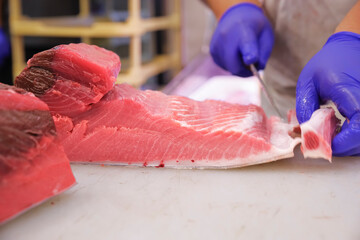 脂がのって美味しそうな本マグロの切り身