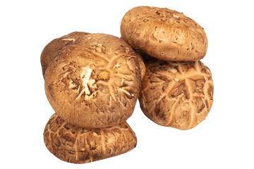 Shiitake mushrooms sliced and chopped on white background, fresh ingredient for cooking
