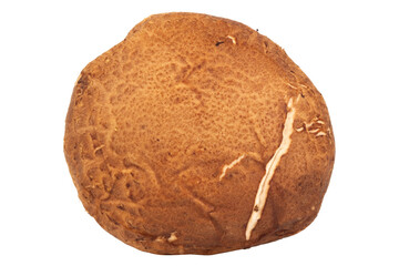 Shiitake mushrooms sliced and chopped on white background, fresh ingredient for cooking