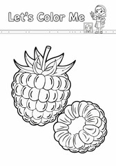 Drawing a single page about raspberries