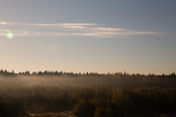 Fototapeta premium Autumn Forest Landscape in Golden Light