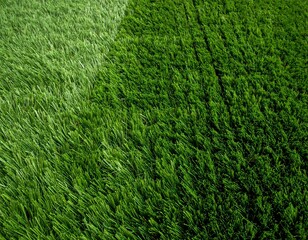 Close-up of artificial grass, split with a distinct color variance