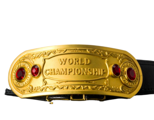 A gold championship belt with red jewels, black strap, and the words "World Championship