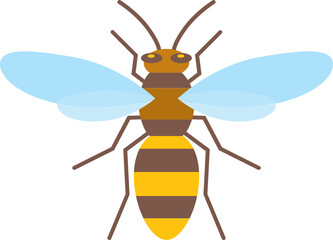 Cartoon bee flying with transparent wings detailed drawing