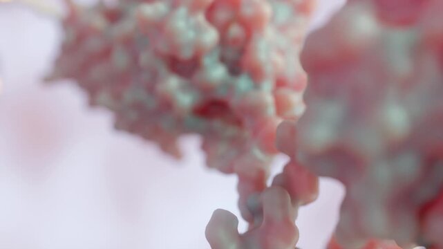 A 3d animation of antibody drugs conjugated molecules.