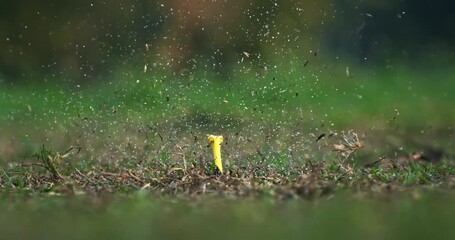 Slow Motion Close Up of Golf Swing Powerful Impact as Club Hits the Ball, Grass and Sand Flying in the Air, Capturing Strength, Focus and Precision at 1000 fps