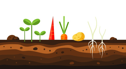 Obraz premium Illustration of Various Vegetables Growing in Soil, Flat Design