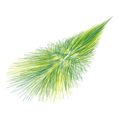 Abstract brush strokes. Colorful feathered lines. Vector modern illustration. Green yellow detail.