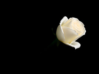 Person using stylus on tablet displaying financial data and charts