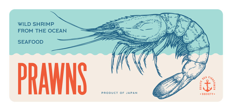 Shrimp, seafood, sketch. Vintage print, seafood shrimp prawn sketch, ink pencil drawing prawn, engrave sketch, hand drawn prawn. Tag packaging, label product. artwork shrimp. Vector Illustration