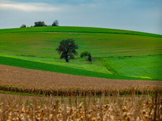 Baumgrundstück in herbstlicher Landschaft