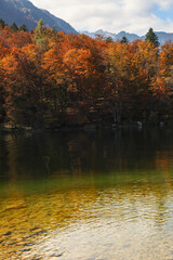 Autumnal forest with vibrant, colorful foliage, crystal-clear mountain lake waters, and majestic peaks rising in the background — a breathtaking alpine scene.