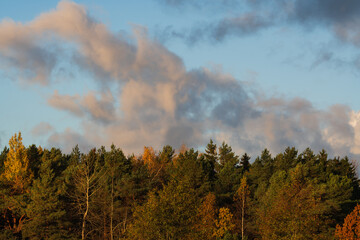 Scenic Estonian autumn landscape with a colorful mixed forest treetop line under a beautiful blue sky with soft, golden-lit clouds.