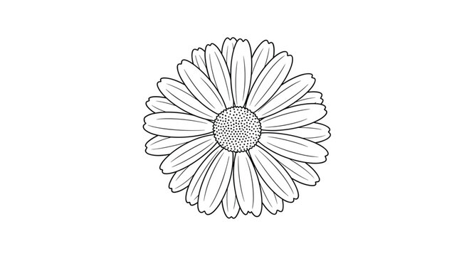 A detailed outline of a blooming calendula flower in black and white.