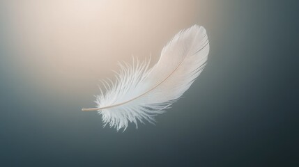 Obraz premium Delicate white feather floating gracefully in soft light against a neutral background