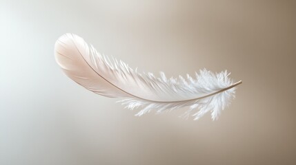 Obraz premium Soft feather floating gently in the air against a smooth neutral background