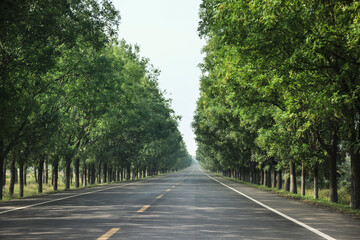 Beautiful summer boulevard highway scenery

