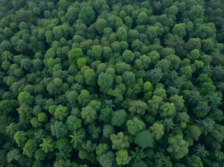 Majestic wind turbine silhouetted against a vibrant orange and purple sunset over rolling green hills at dusk