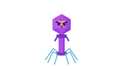 Structure of virus Bacteriophage Illustration