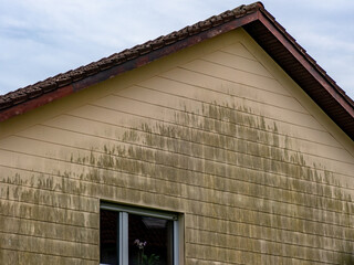 Feuchte und verschmutzte Hauswand