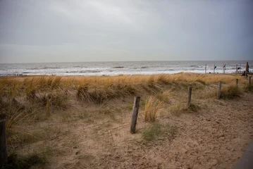 Tableau sur toile Mer du Nord Coastal dunes with tall golden grasses overlook the North Sea in Katwijk, Netherlands, as waves crash under a cloudy sky, with wooden posts and wire fencing marking the sandy path.  © zivko.trikic