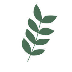 green leaves isolated on white background