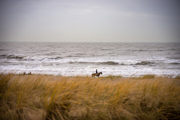 A rider on horseback moves along the shoreline in Katwijk, Netherlands, with waves crashing against the beach, seen through tall golden dune grasses under a cloudy sky.