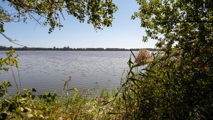 Staw w Dolinie Baryczy © Grzegorz