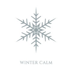 Geometric Snowflake Winter Calm Icon