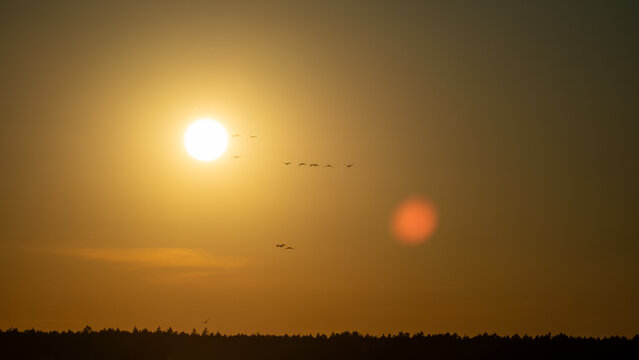 Fototapeta wschód słońca dolina baryczy