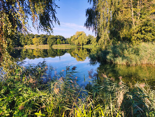 Staw w Dolinie Baryczy © Grzegorz