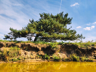 spływ rzeką Barcz w Dolina Baryczy © Grzegorz