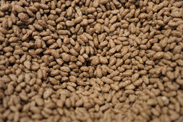 chocolate-covered puffed rice close up