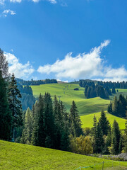 Alpe di Siusi Dolomites mountains Italy. Drone footage of mountain peaks of Plattkofel Sassopiatto. Wooden cabins on Alpe Siusi fields. Beautiful hut on Alpe di Siusi alpine plateau Seiser Alm.