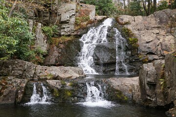 A cascading water flows over dark, layered rock formations into a tranquil pool below, surrounded by lush evergreen foliage of Hawk Falls in Albrightsville, Pennsylvania, U.S.
