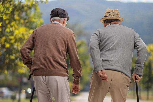 Rear view shot of two elderly men walking