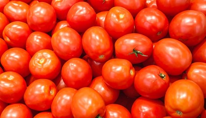 Vibrant Red Tomatoes - Freshly Harvested and Ready for Culinary Delights.