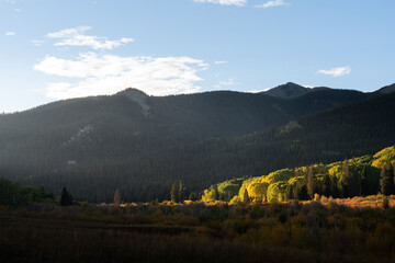 Sunlight shining through a mountain valley to illuminate a grove of aspens in autumn morning light