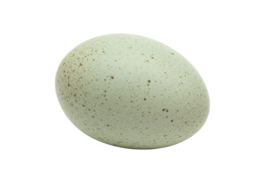 Isolated speckled greenish avian egg, whole, natural bird egg, poultry, springtime, farm